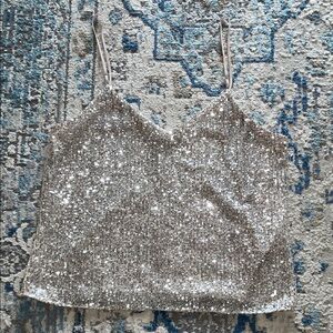 Banana Republic Silver Sequin Camisole